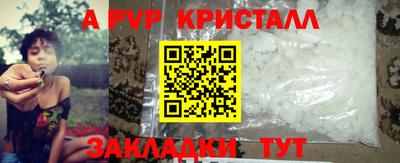 хмурый Тула