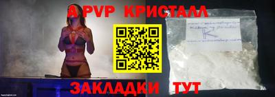 хмурый Тула