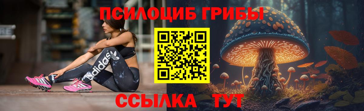 Псилоцибиновые грибы прущие грибы  Вход с VPN  Людиново 